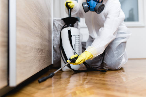 Best Bed Bug Extermination  in Barnesville, MN