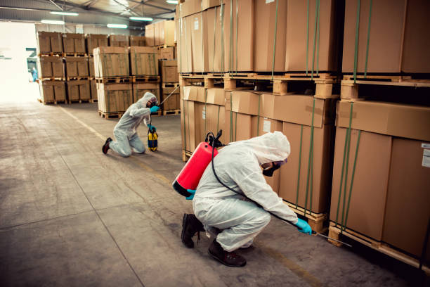 Best Affordable Pest Control Services  in Barnesville, MN
