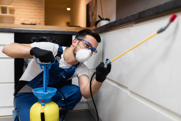 Best Pest Removal Services  in Barnesville, MN