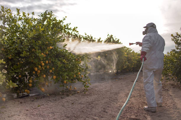 Best Affordable Pest Control Services  in Barnesville, MN