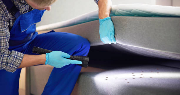 Best Termite Control Services  in Barnesville, MN