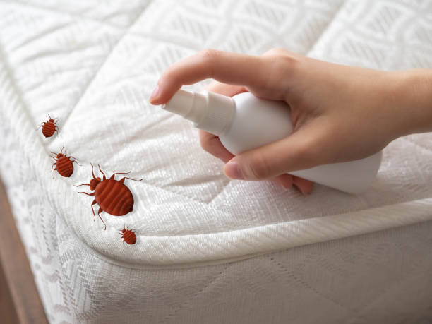 Pest Prevention Services in Barnesville, MN