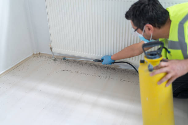 Best Flea Control Services  in Barnesville, MN