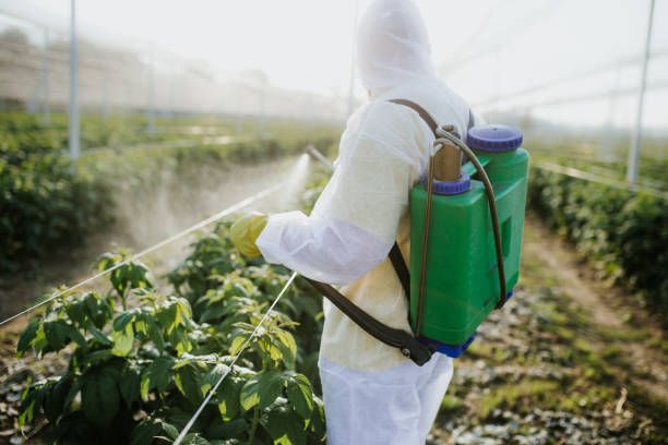 Best Ant Control Services  in Barnesville, MN